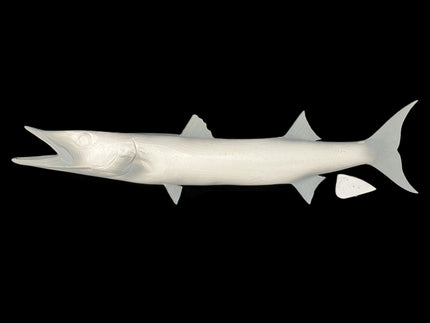 55-INCH BARRACUDA BLANK, STANDARD