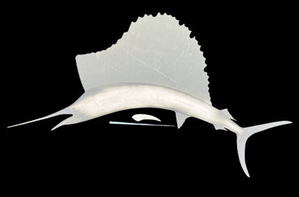 55-INCH SAILFISH BLANK, STANDARD