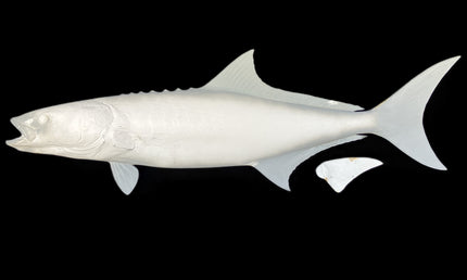 56-INCH COBIA BLANK, STANDARD
