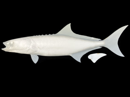 56-INCH COBIA BLANK, STANDARD