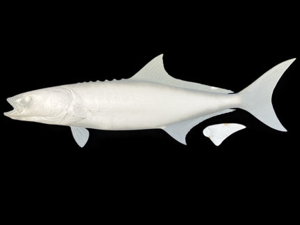 56-INCH COBIA BLANK, STANDARD