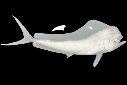 56-INCH BULL DOLPHIN BLANK, STANDARD