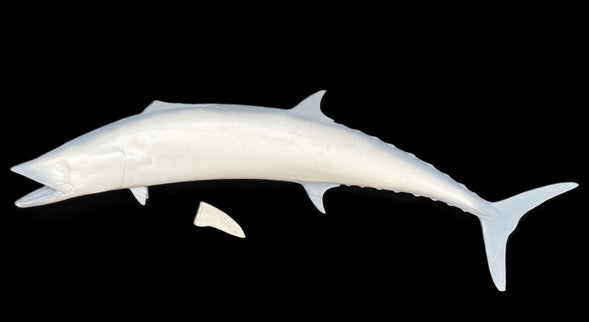 57-INCH KINGFISH BLANK, STANDARD
