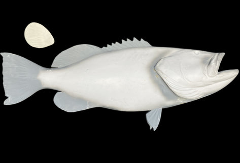 58-INCH BLACK GROUPER BLANK, STANDARD