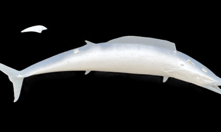 58-INCH WAHOO BLANK, STANDARD