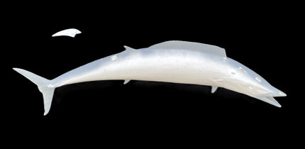 58-INCH WAHOO BLANK, STANDARD