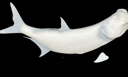 60-INCH TARPON BLANK, STANDARD