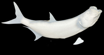60-INCH TARPON BLANK, STANDARD