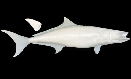 62-INCH COBIA BLANK, STANDARD
