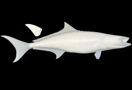 62-INCH COBIA BLANK, STANDARD