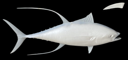 62-INCH YELLOWFIN TUNA BLANK, STANDARD