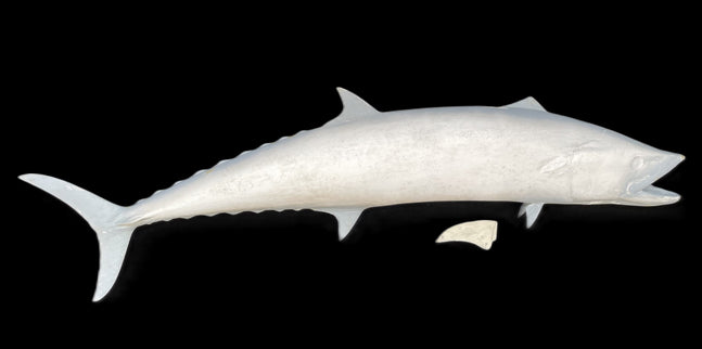 63-INCH KINGFISH BLANK, STANDARD