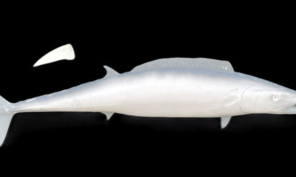 63-INCH WAHOO BLANK, STANDARD