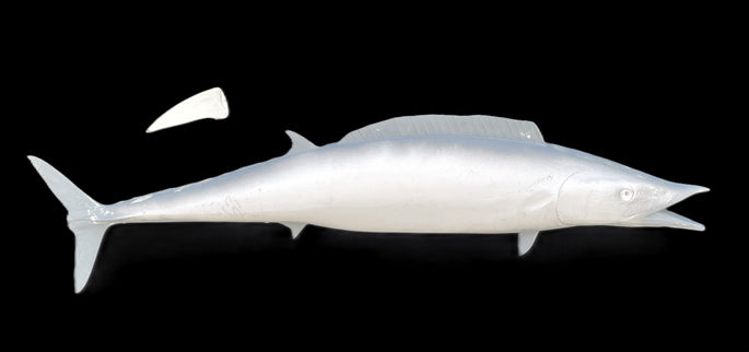 63-INCH WAHOO BLANK, STANDARD