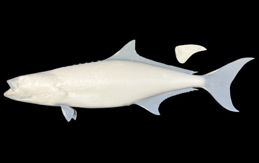 66-INCH COBIA BLANK, STANDARD