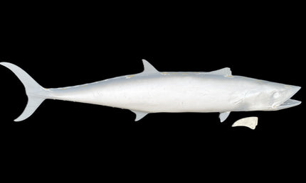 66-INCH KINGFISH BLANK, STANDARD
