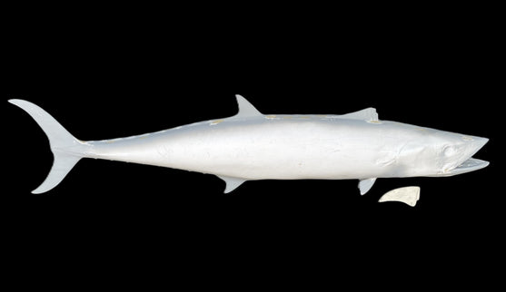 66-INCH KINGFISH BLANK, STANDARD