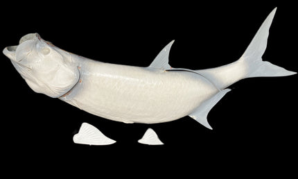 66-INCH TARPON BLANK, STANDARD