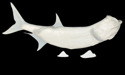 67-INCH TARPON BLANK, STANDARD