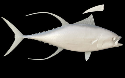 67-INCH YELLOWFIN TUNA BLANK, STANDARD