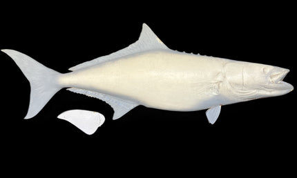 68-INCH COBIA BLANK, STANDARD