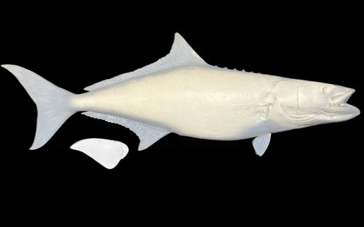 68-INCH COBIA BLANK, STANDARD