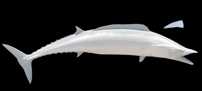 69-INCH WAHOO BLANK, STANDARD