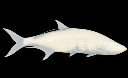 70-INCH TARPON BLANK, STANDARD