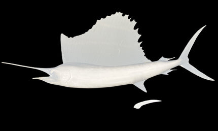71-INCH SAILFISH BLANK, STANDARD