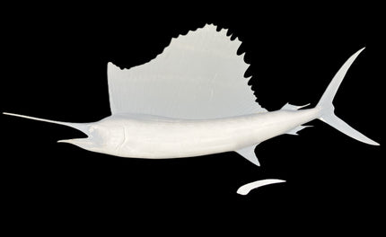71-INCH SAILFISH BLANK, STANDARD