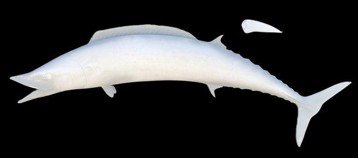 71-INCH WAHOO BLANK, STANDARD