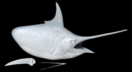 74-INCH BLUE MARLIN HEAD MOUNT BLANK, STANDARD