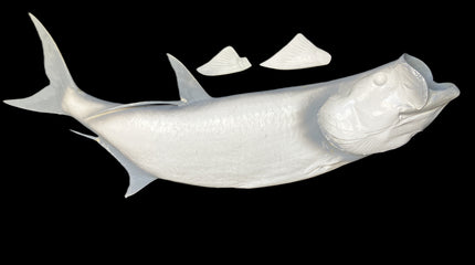 74-INCH TARPON BLANK, STANDARD