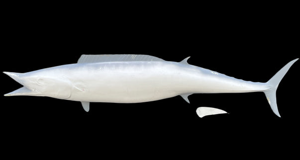 74-INCH WAHOO BLANK, STANDARD