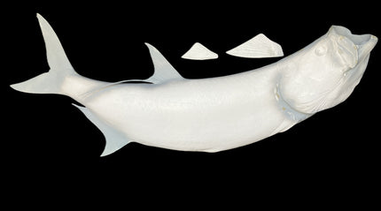 75-INCH TARPON BLANK, STANDARD