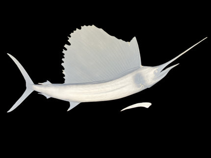 76-INCH SAILFISH BLANK, STANDARD