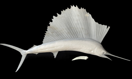 78-INCH SAILFISH BLANK, STANDARD