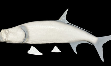 78-INCH TARPON BLANK, STANDARD