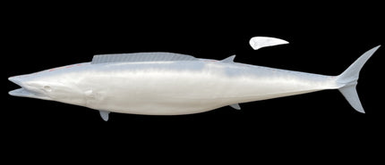 78-INCH WAHOO BLANK, STANDARD