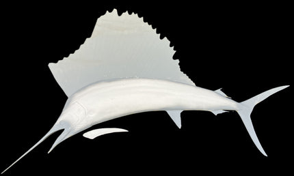79-INCH SAILFISH BLANK, STANDARD