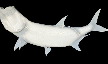 79-INCH TARPON BLANK, STANDARD