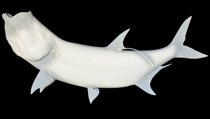 79-INCH TARPON BLANK, STANDARD