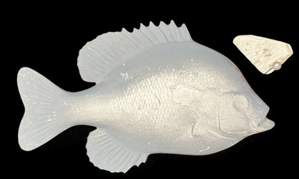 8-INCH BLUEGILL BLANK, STANDARD