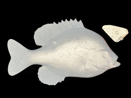 8-INCH BLUEGILL BLANK, STANDARD