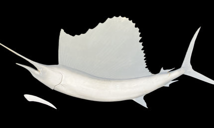 80-INCH SAILFISH BLANK (L), STANDARD