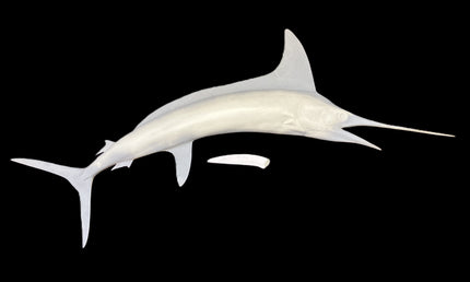 84-INCH STRIPED MARLIN BLANK, STANDARD