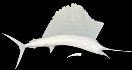 84-INCH SAILFISH BLANK, STANDARD