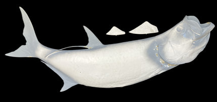 84-INCH TARPON BLANK, STANDARD