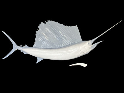89-INCH SAILFISH BLANK, STANDARD