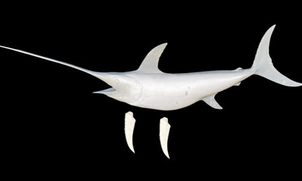 92-INCH SWORDFISH BLANK, STANDARD